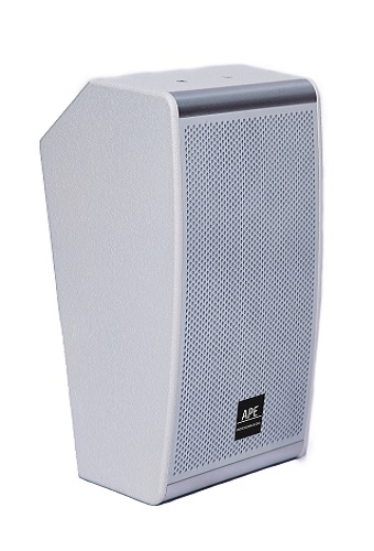 Conference wall-mounted speaker